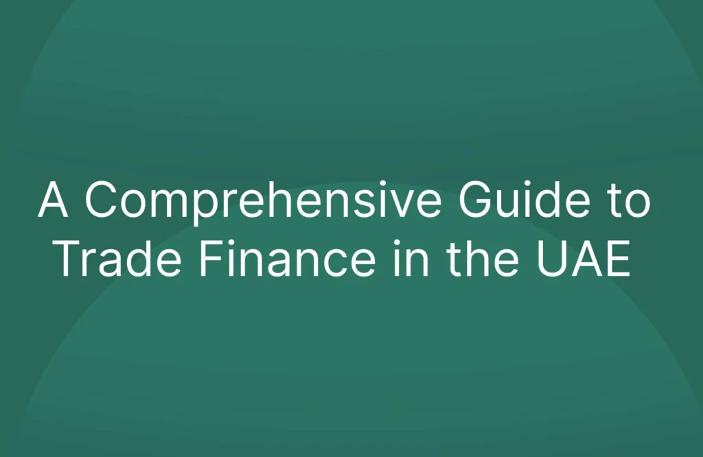 A Comprehensive Guide to Trade Finance in the UAE