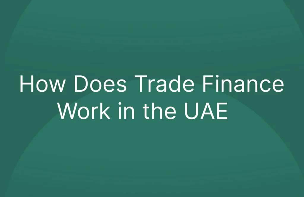 How Does Trade Finance Work in the UAE