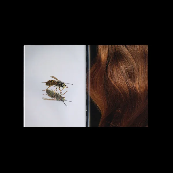 Uta Eisenreich: As If - Image 5